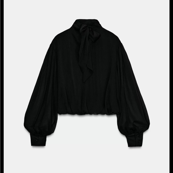 Zara limited edition SEMI-SHEER DRAPED
BALLOON SHIRT - Picture 9 of 10